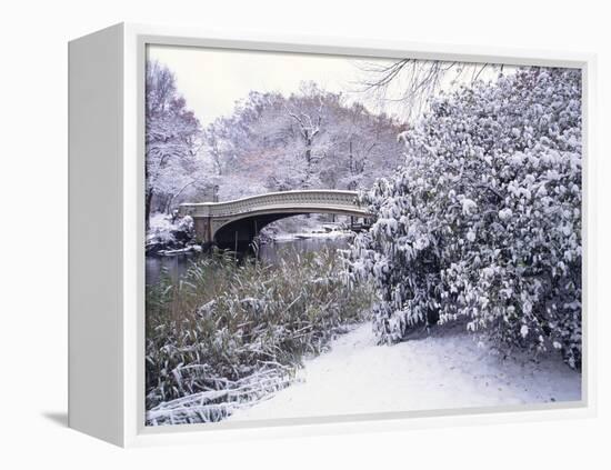 Snow at Bow Bridge in Central Park-Alan Schein-Framed Premier Image Canvas