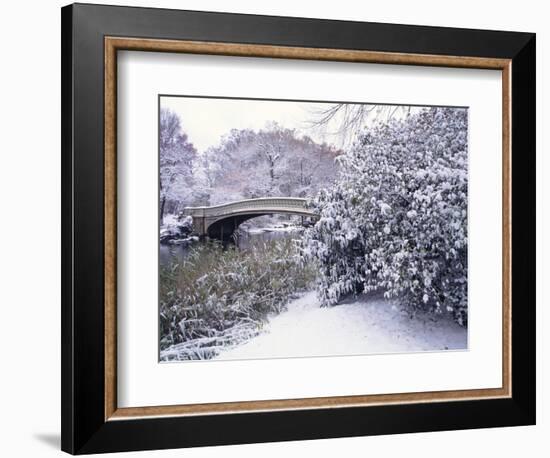 Snow at Bow Bridge in Central Park-Alan Schein-Framed Photographic Print