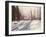 Snow at Broadlands-Paul Stewart-Framed Giclee Print