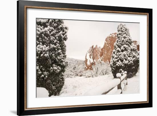 Snow at the Garden of the Gods-bcoulter-Framed Photographic Print