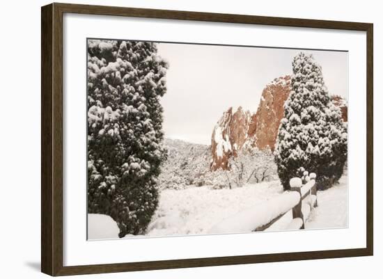 Snow at the Garden of the Gods-bcoulter-Framed Photographic Print