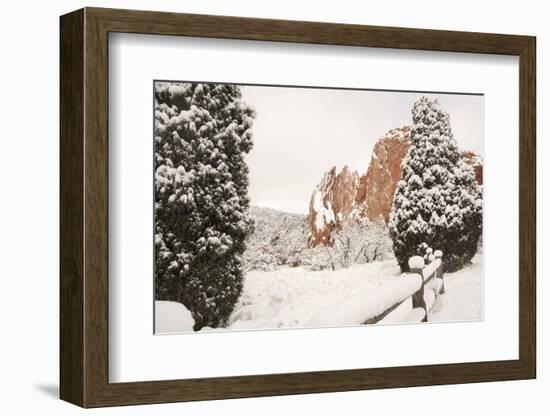 Snow at the Garden of the Gods-bcoulter-Framed Photographic Print