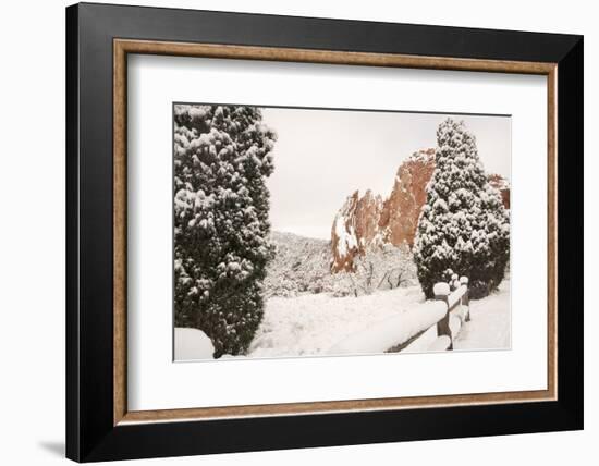 Snow at the Garden of the Gods-bcoulter-Framed Photographic Print