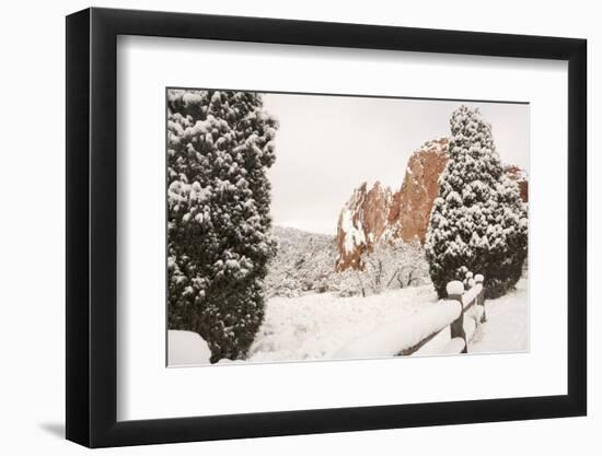 Snow at the Garden of the Gods-bcoulter-Framed Photographic Print