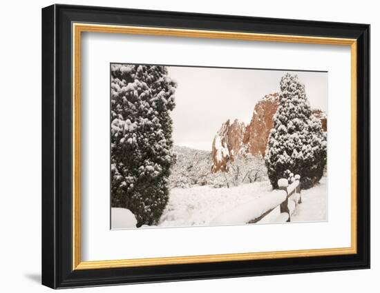 Snow at the Garden of the Gods-bcoulter-Framed Photographic Print