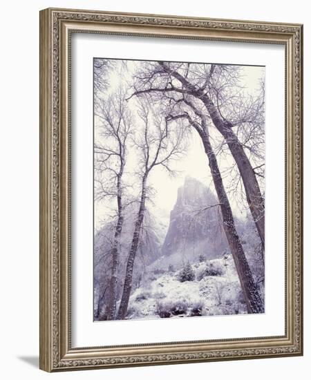 Snow at Zion National Park-Jim Zuckerman-Framed Photographic Print