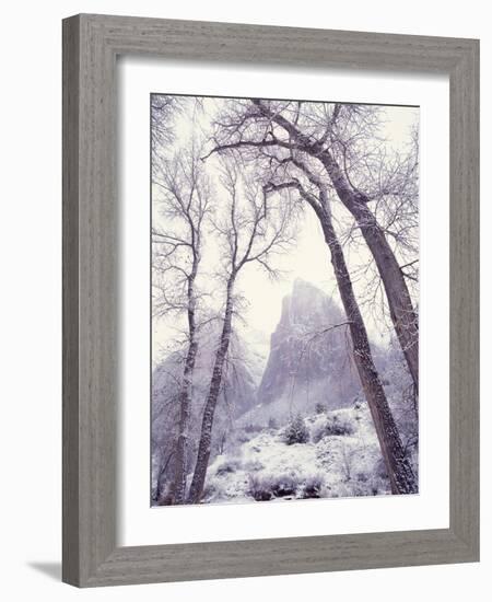 Snow at Zion National Park-Jim Zuckerman-Framed Photographic Print