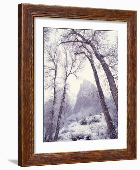 Snow at Zion National Park-Jim Zuckerman-Framed Photographic Print