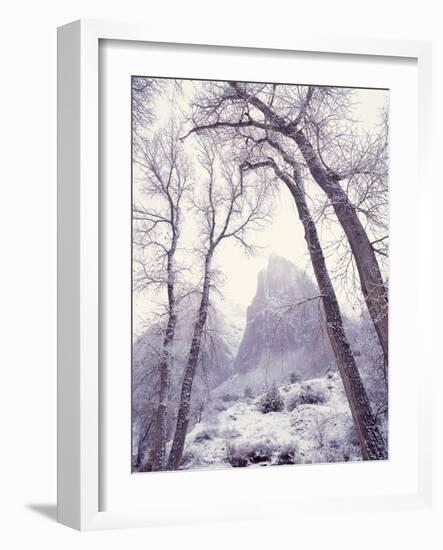 Snow at Zion National Park-Jim Zuckerman-Framed Photographic Print