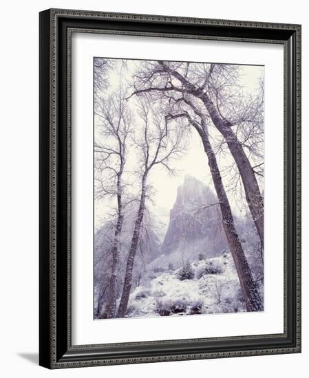 Snow at Zion National Park-Jim Zuckerman-Framed Photographic Print