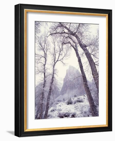 Snow at Zion National Park-Jim Zuckerman-Framed Photographic Print