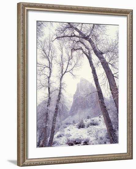 Snow at Zion National Park-Jim Zuckerman-Framed Photographic Print