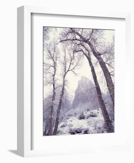 Snow at Zion National Park-Jim Zuckerman-Framed Photographic Print