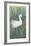 Snow Bird-Allen Friedman-Framed Collectable Print