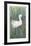 Snow Bird-Allen Friedman-Framed Collectable Print