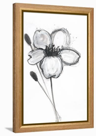 Snow Blossom 1-Filippo Ioco-Framed Stretched Canvas