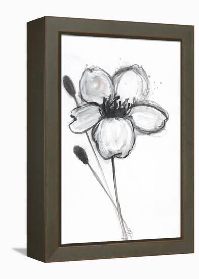 Snow Blossom 1-Filippo Ioco-Framed Stretched Canvas