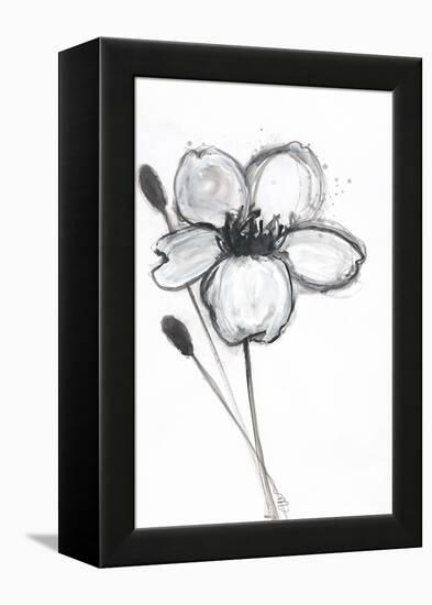 Snow Blossom 1-Filippo Ioco-Framed Stretched Canvas