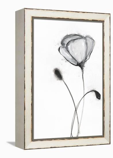 Snow Blossom 2-Filippo Ioco-Framed Stretched Canvas