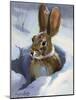 Snow Bunny-Carolyne Hawley-Mounted Art Print