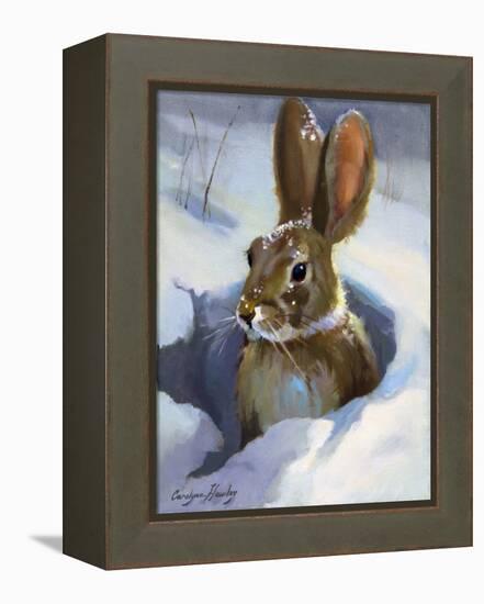 Snow Bunny-Carolyne Hawley-Framed Stretched Canvas