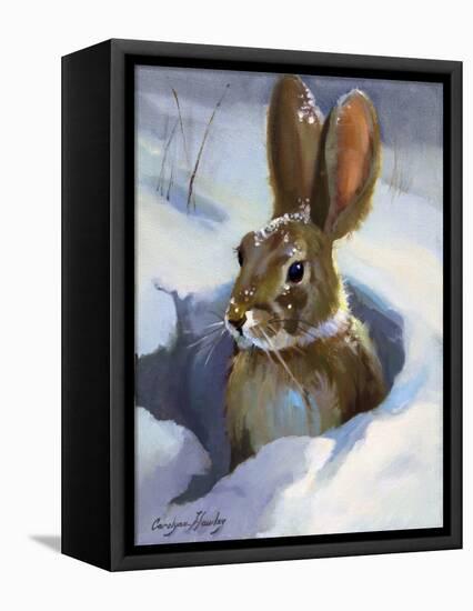 Snow Bunny-Carolyne Hawley-Framed Stretched Canvas