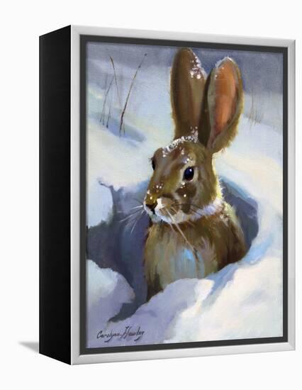 Snow Bunny-Carolyne Hawley-Framed Stretched Canvas