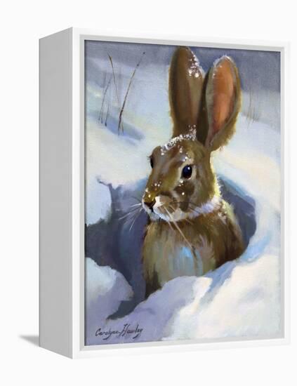 Snow Bunny-Carolyne Hawley-Framed Stretched Canvas
