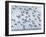 Snow bunting flock resting on a roof, Iceland-Konrad Wothe-Framed Photographic Print
