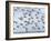 Snow bunting flock resting on a roof, Iceland-Konrad Wothe-Framed Photographic Print