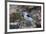 Snow Bunting-Ken Archer-Framed Premium Photographic Print