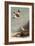 Snow Buntings-John James Audubon-Framed Giclee Print