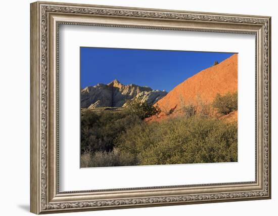 Snow Canyon State Park, St. George, Utah, United States of America, North America-Richard Cummins-Framed Photographic Print