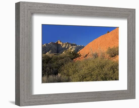 Snow Canyon State Park, St. George, Utah, United States of America, North America-Richard Cummins-Framed Photographic Print