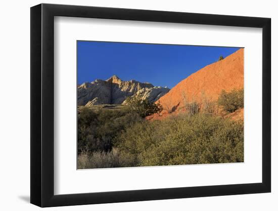 Snow Canyon State Park, St. George, Utah, United States of America, North America-Richard Cummins-Framed Photographic Print