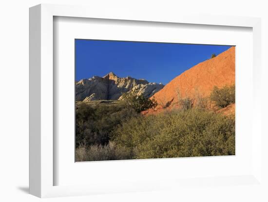 Snow Canyon State Park, St. George, Utah, United States of America, North America-Richard Cummins-Framed Photographic Print