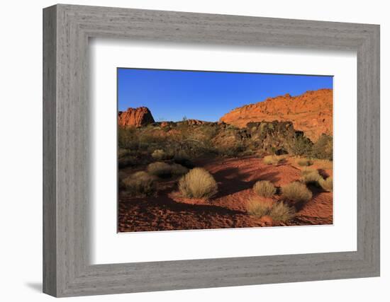 Snow Canyon State Park, St. George, Utah, United States of America, North America-Richard Cummins-Framed Photographic Print