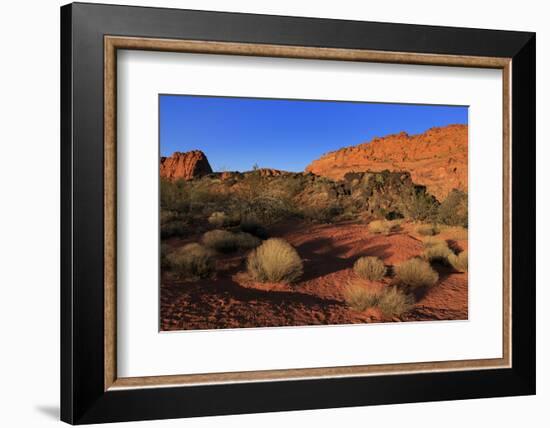 Snow Canyon State Park, St. George, Utah, United States of America, North America-Richard Cummins-Framed Photographic Print