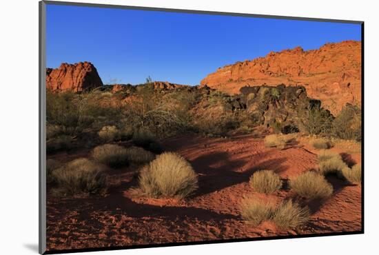 Snow Canyon State Park, St. George, Utah, United States of America, North America-Richard Cummins-Mounted Photographic Print