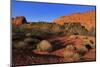 Snow Canyon State Park, St. George, Utah, United States of America, North America-Richard Cummins-Mounted Photographic Print