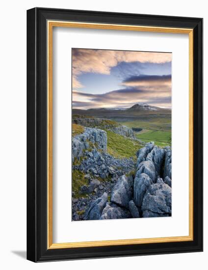 Snow Capped Ingleborough from Limestone Pavements on Twistleton Scar, Yorkshire Dales National Park-Adam Burton-Framed Photographic Print