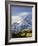 Snow Capped Mountain and Fall Colors, Dallas Divide, Colorado-James Hager-Framed Photographic Print