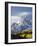 Snow Capped Mountain and Fall Colors, Dallas Divide, Colorado-James Hager-Framed Photographic Print