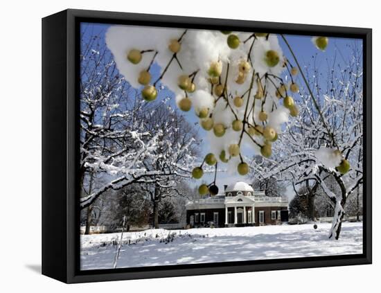 Snow Clings to Branches of a Berry Tree on the South Lawn of Thomas Jefferson's Home-null-Framed Premier Image Canvas