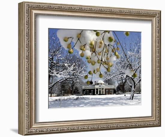 Snow Clings to Branches of a Berry Tree on the South Lawn of Thomas Jefferson's Home-null-Framed Photographic Print