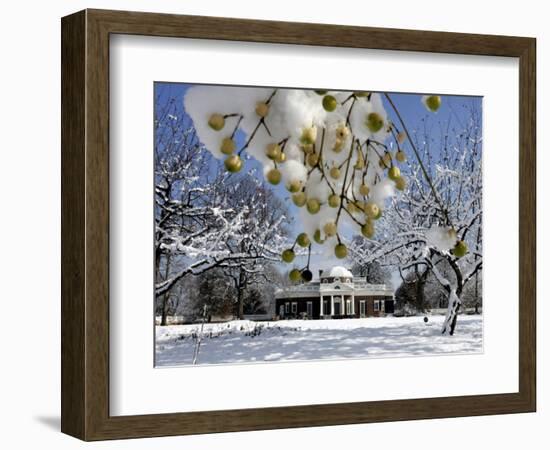 Snow Clings to Branches of a Berry Tree on the South Lawn of Thomas Jefferson's Home-null-Framed Photographic Print