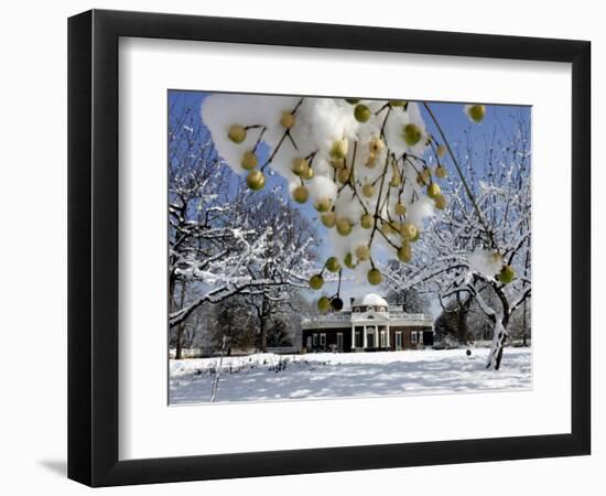 Snow Clings to Branches of a Berry Tree on the South Lawn of Thomas Jefferson's Home-null-Framed Photographic Print