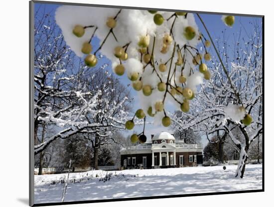 Snow Clings to Branches of a Berry Tree on the South Lawn of Thomas Jefferson's Home-null-Mounted Photographic Print