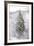 Snow Conifer-Chris Dunker-Framed Giclee Print