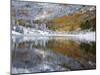 Snow Covered Aspens, Maroon Bells, Colorado, USA-Terry Eggers-Mounted Photographic Print